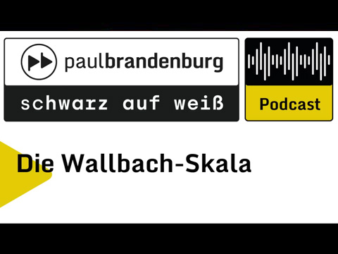 Die Wallbach Skala: Staatsanwaltschaft und Polizei Berlin sind Terrororganisationen