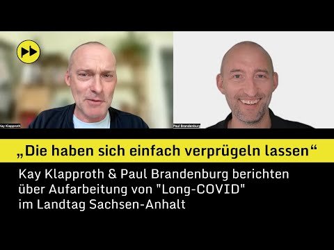 "Die haben sich einfach verprügeln lassen" – Dr. Klapproth & Dr. Brandenburg über COVID-Aufarbeitung
