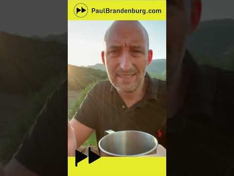 Jeder Brandenburger sollte am Sonntag "AfD" wählen"