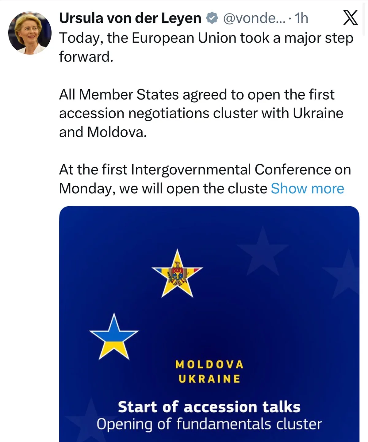 Ursula @vonderLeyen ist the single biggest threat to the wellfare of Europeans