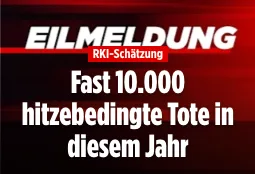 EIL! EIL! EIL! "Insassen, wir von Bild halten euch für Vollidioten"