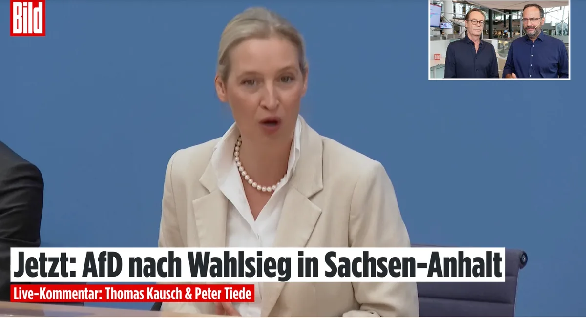 AfD-Pressekonferenz: "BILD" spuckt live Galle :)