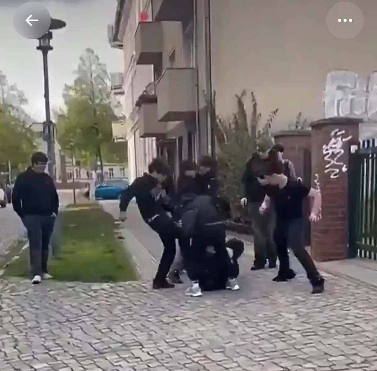 Deutschlands Polizei: Vollstrecker der Umvolkung
