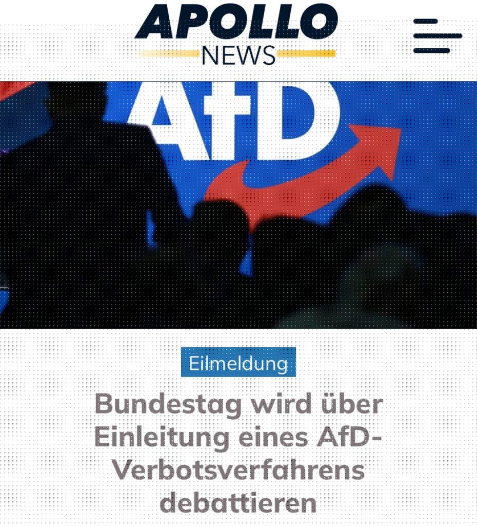Ja bitte, Ihr Regimeverbrecher: beantragt Euer AfD-Verbot!