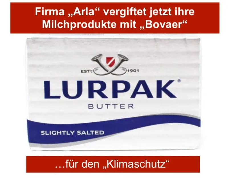 Gift "Bovaer" ab jetzt in "Arla-Produkten wie "Lurpak"-Butter