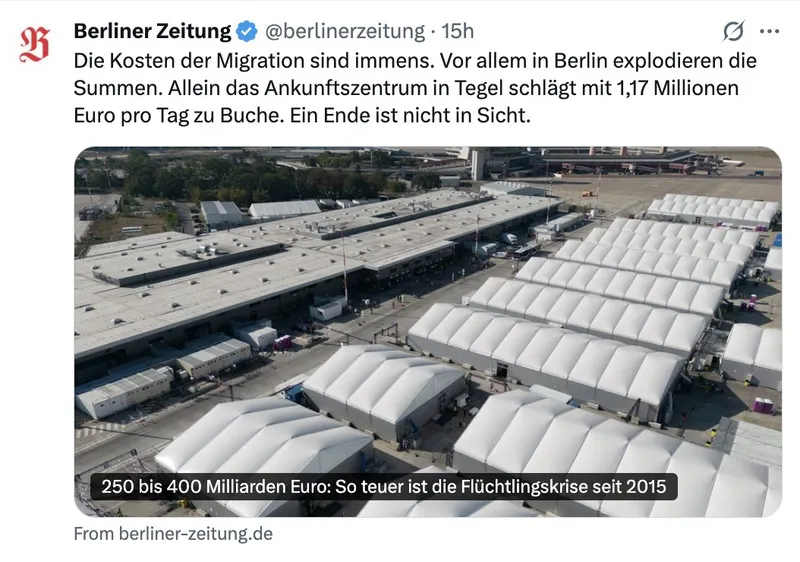 Millionenfache Remigration. Jetzt!