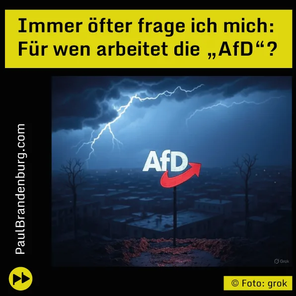 Für wen arbeitet die "AfD" eigentlich?