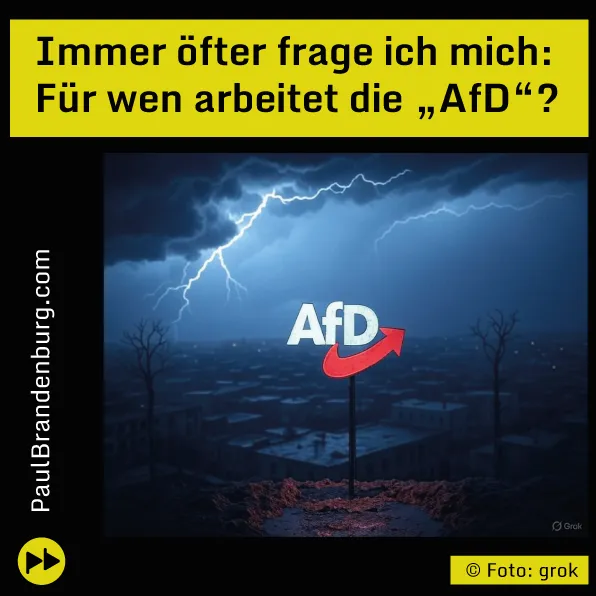 Für wen arbeitet die "AfD" eigentlich?