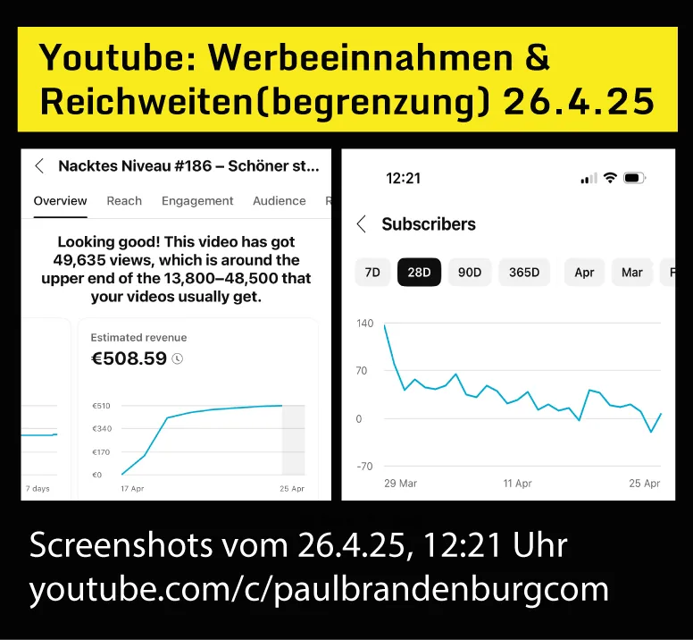 Wieviel Werbeeinnnahmen erhält "Nacktes Niveau" von Youtube?