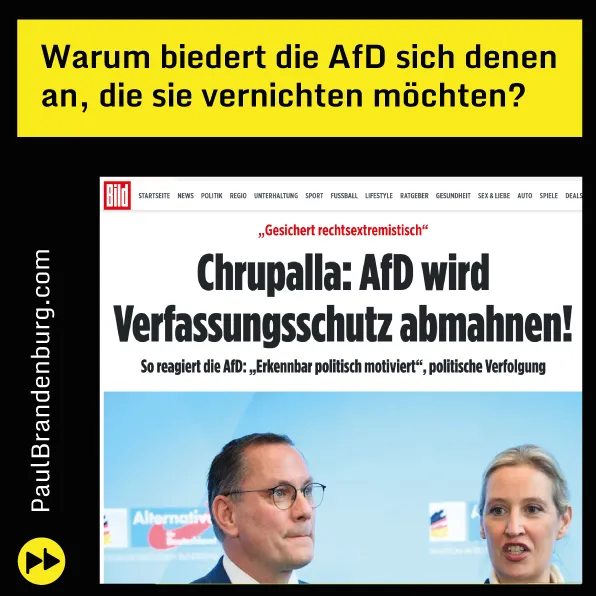 Warum biedert der @AfD-Vorstand sich denen an, die ihn vernichten möchten?