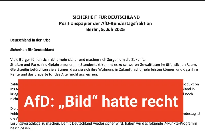 Es ist wahr: Neues @AfD-Positionspapier verabschiedet sich von Remigration und Leitkultur