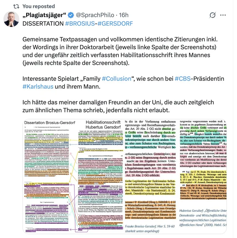 Plagiatsjäger enthüllt: SPD-Horror-Juristin Frauke Brosius-Gersdorf scheint Betrügerin zu sein. Scheitert nun ihre Wahl zur Verfassungsrichterin?