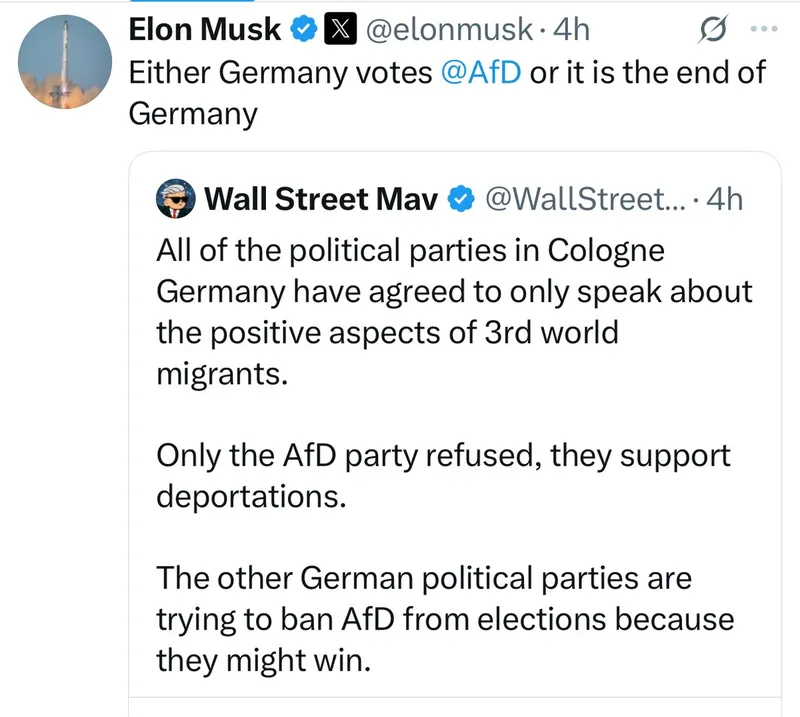 Elon Musk: “Entweder Deutschland wählt AfD oder es ist Deutschlands Ende.”