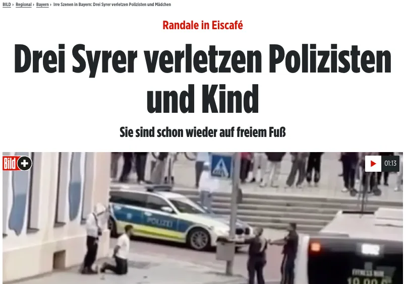 Warum habt Ihr diesen Gewalt-"Migranten" nicht erschossen, @PolizeiBayern?