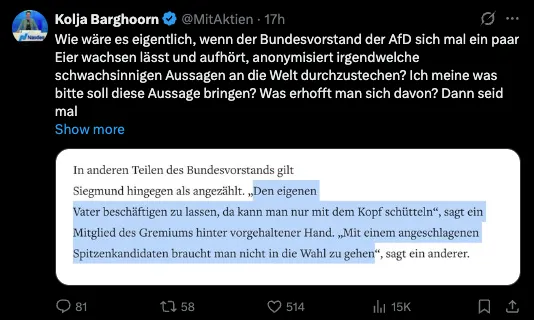 AfD-Politiker stellen Verwandte ein: Wo ist der "Skandal?