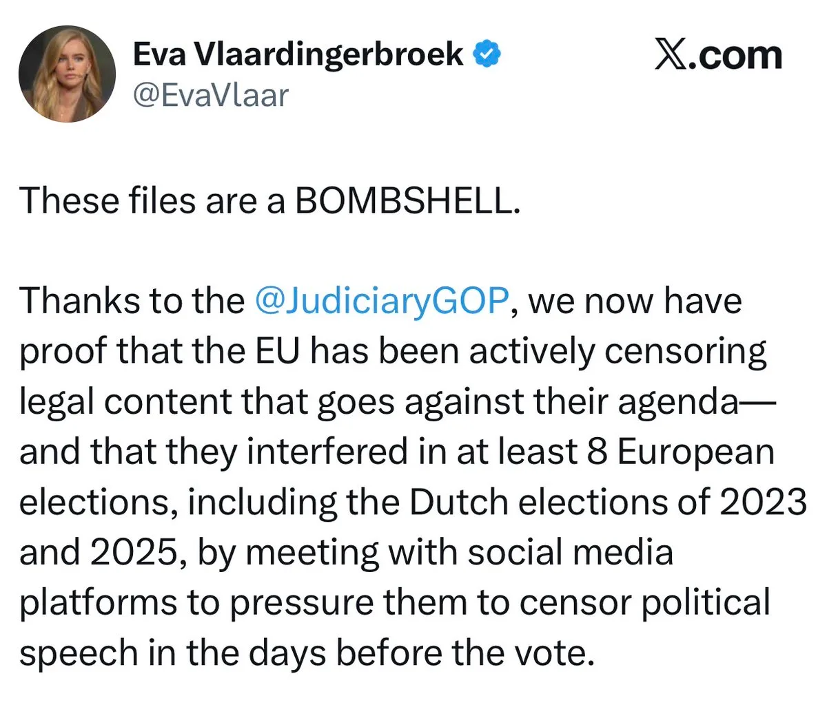 Systematische Wahlfälschungen durch “EU”: US-Ausschuss legt Beweise vor